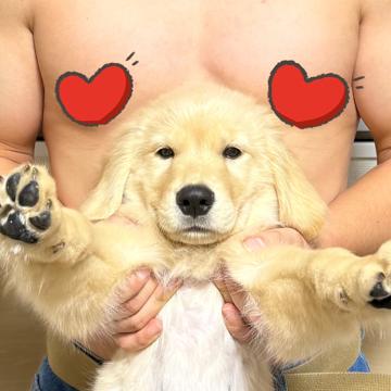 周 胤 profile photo