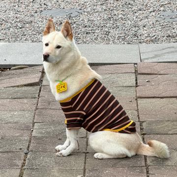 PARK HEEKYUNG profile photo