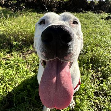 Dan Richards profile photo