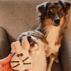 Maddy Crook profile photo