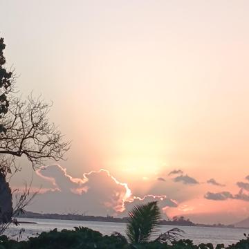 Tapeta Mai profile photo