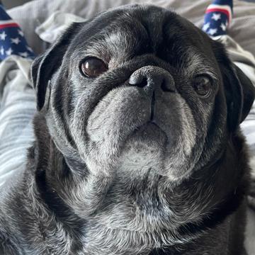 Matt Philipps profile photo