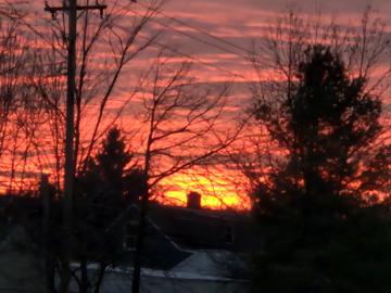 Beth Woolery profile photo