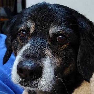 Makiko Nakazato profile photo