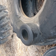 Bruno Justino profile photo