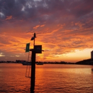 Garrison Norton profile photo