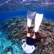 Sho Matsumoto profile photo