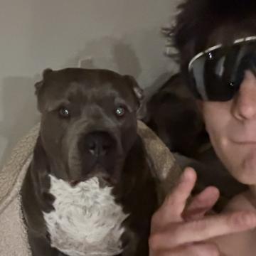 Tristan Avilez profile photo