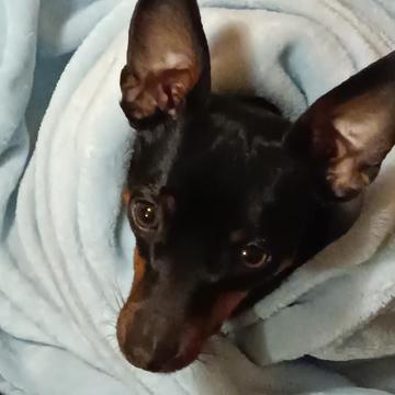 Juan Carlos Martínez profile photo