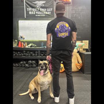 Pieter Ringlever profile photo