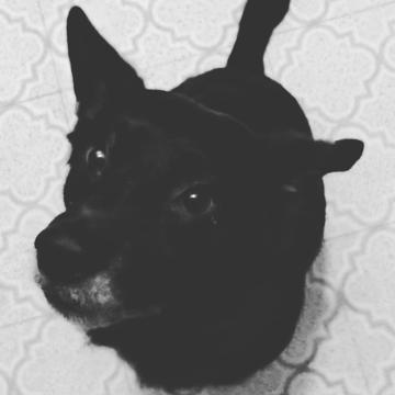 Helen DuPont profile photo