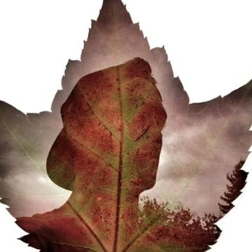 Lane Charlton profile photo