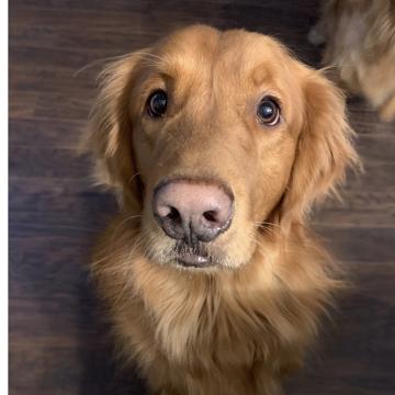 Ben Else profile photo