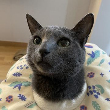 Hanlim Lee profile photo