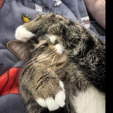 Heather Fredyma profile photo