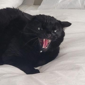 Kolby Patrick profile photo