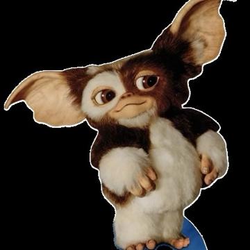 Josh Varrasso profile photo