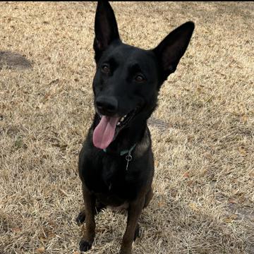 Kinsey Martinez profile photo