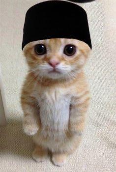 Adam Shukri profile photo