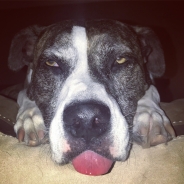 Elizabeth Jensen profile photo