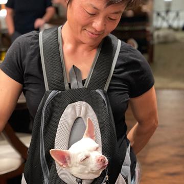 Sig Lo profile photo