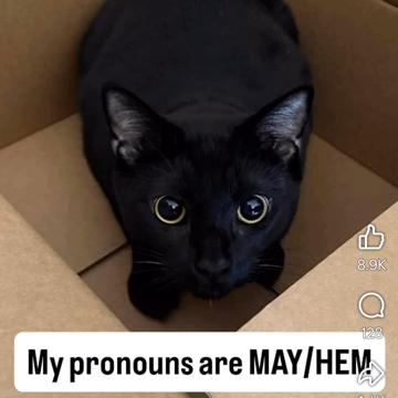 Bill Previte profile photo