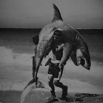 Lucas Chatonnier profile photo