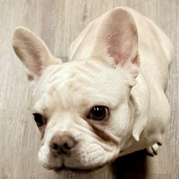 Scott Morey profile photo