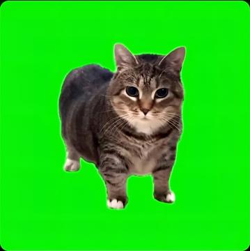 Salome Engelbrecht profile photo