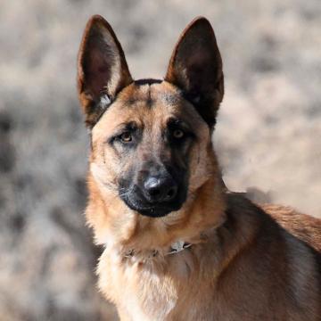 Brecken Haiduk profile photo