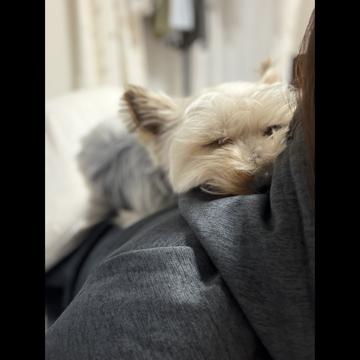 Nanami Ono profile photo