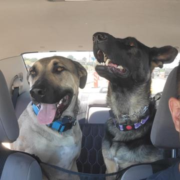 Rory Kowalski profile photo