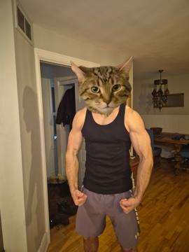 Goran Zangana profile photo