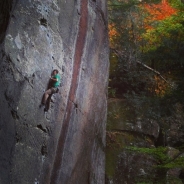 Lukas Cassick profile photo