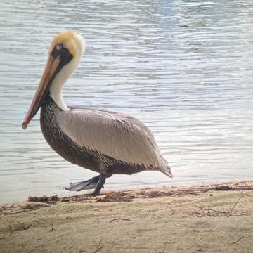 Michelle Cowardin profile photo