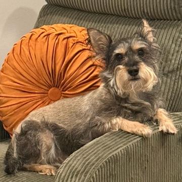 Sophie Yarnovich profile photo