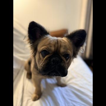 Samuel Danielson profile photo