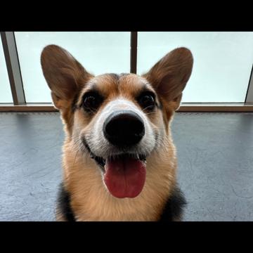 jaekook lee profile photo