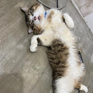 Mae Montero profile photo