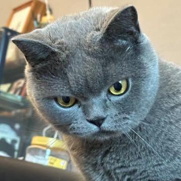 Keyang Tao profile photo