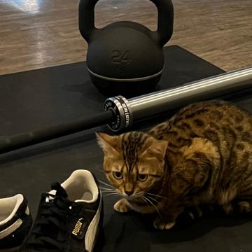 Songsit Kantinan profile photo