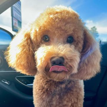 Sarah Cole profile photo