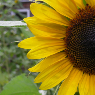 Kathleen McMahan profile photo