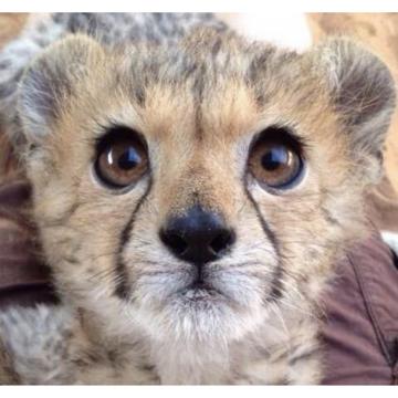 Aejin Seo profile photo