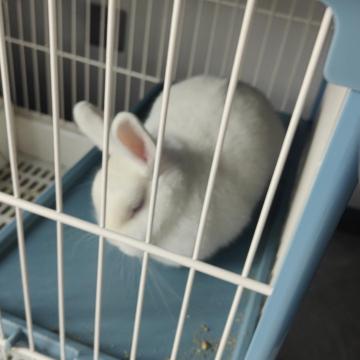 一舟 金 profile photo