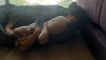 Gerardo Gutierrez profile photo