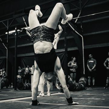 Chris van Dijk profile photo