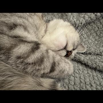 SEDONG PARK profile photo