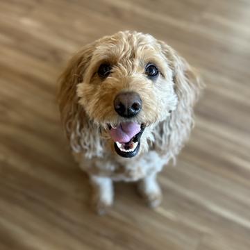 Jamie Bolig profile photo