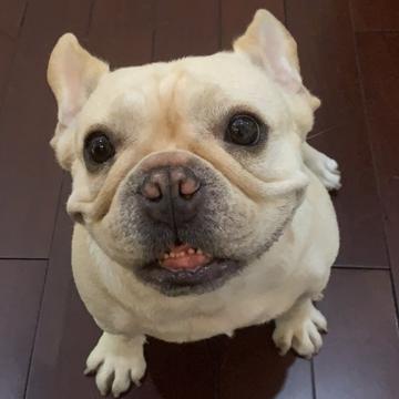 Yuan Yi profile photo